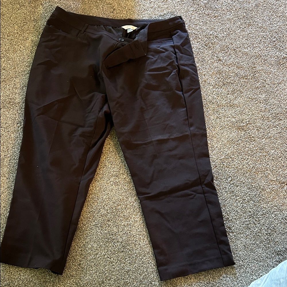 Women’s Brown Pants
